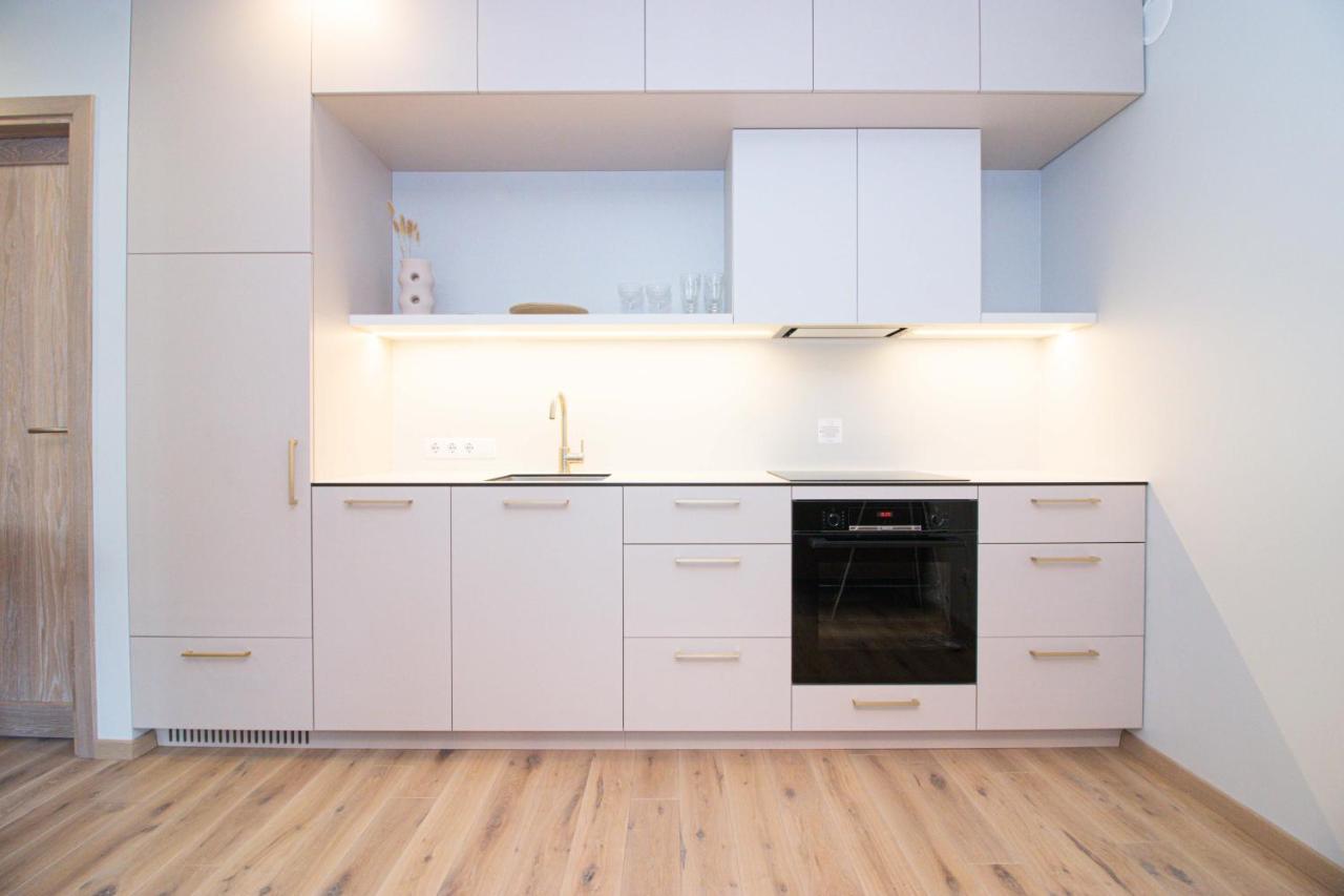 Vanagupes Park Apartments, By Cohost Palanga